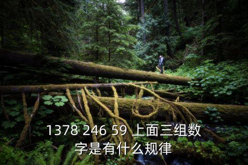 1378 246 59 上面三組數字是有什么規律