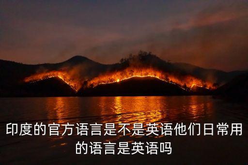 精通的英文，請精通英語的高手幫忙翻譯并講解下文知識點