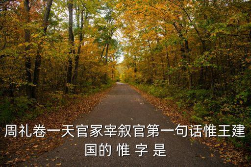 周禮卷一天官冢宰敘官第一句話惟王建國的 惟 字 是