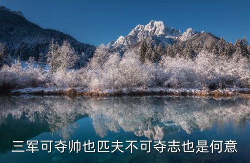 子曰三軍可奪帥也，子曰三軍可奪帥也匹夫不可奪志也匹夫是什么意思