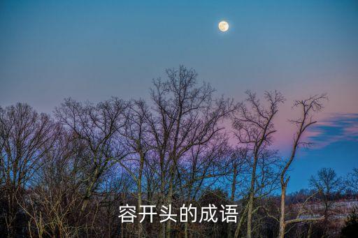 容字開頭的成語，容開頭的成語