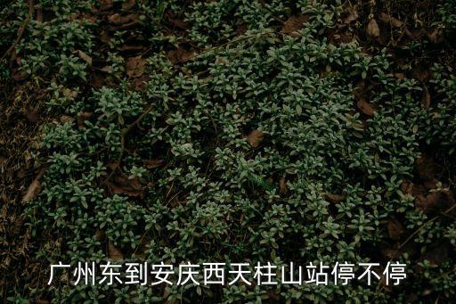 廣州東到安慶西天柱山站停不停