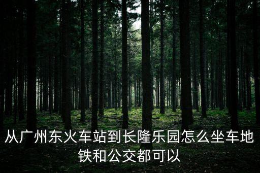從廣州東火車站到長隆樂園怎么坐車地鐵和公交都可以