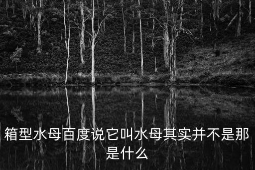 箱型水母百度說它叫水母其實并不是那是什么
