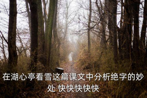 在湖心亭看雪這篇課文中分析絕字的妙處 快快快快快