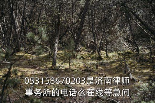 上海市建緯濟(jì)南律師事務(wù)所，02160707823是那個(gè)律師事務(wù)所