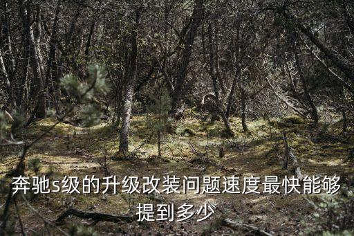奔馳s級的升級改裝問題速度最快能夠提到多少