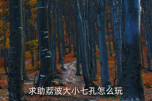 荔波小七孔，問下給位荔波怎么去小七孔大小七孔之間有班車嗎大七孔怎么