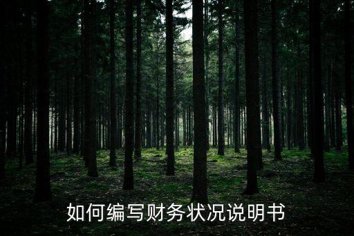 財務狀況怎么寫，如何寫公司的財務狀況
