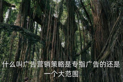 什么叫廣告營銷策略是專指廣告的還是一個大范圍