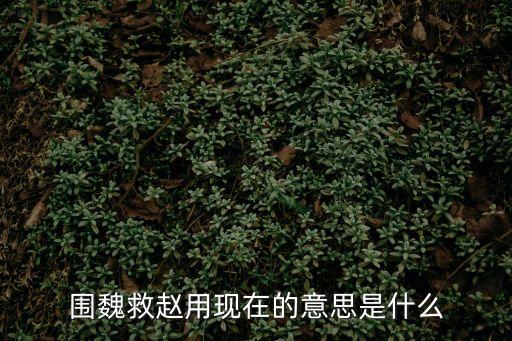 圍魏救趙的意思，圍魏救趙 意思