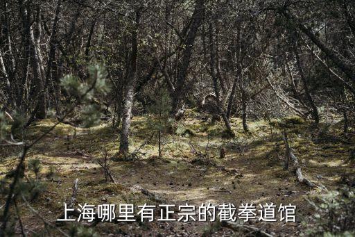 上海哪里有正宗的截拳道館