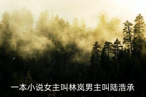 一本小說女主叫林嵐男主叫陸浩承