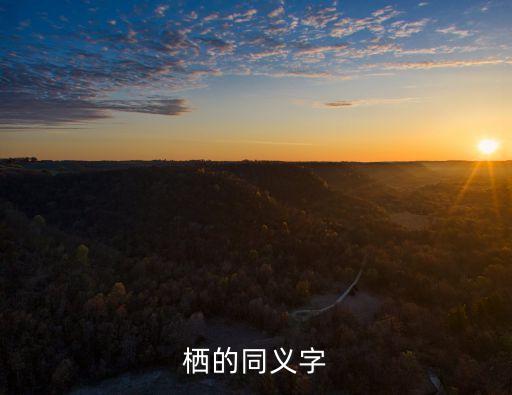 棲的同義字