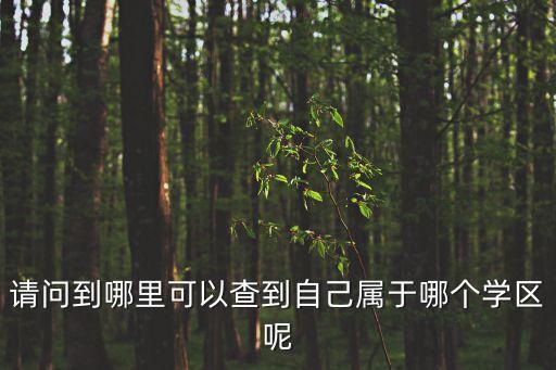 請問到哪里可以查到自己屬于哪個學區呢