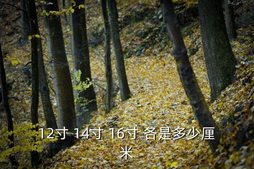 12寸 14寸 16寸 各是多少厘米