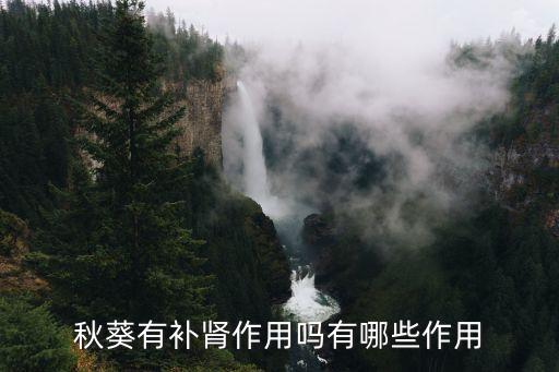 秋葵補腎，秋葵干吃了有補腎的效果嗎