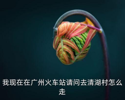 我現在在廣州火車站請問去清湖村怎么走