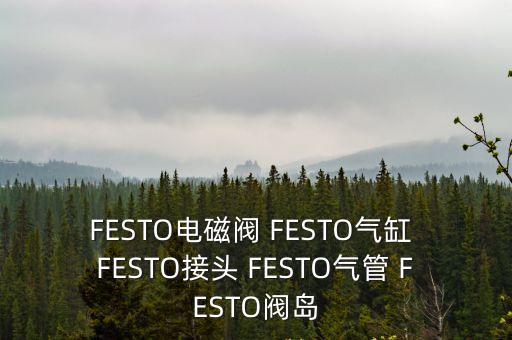 FESTO電磁閥 FESTO氣缸 FESTO接頭 FESTO氣管 FESTO閥島