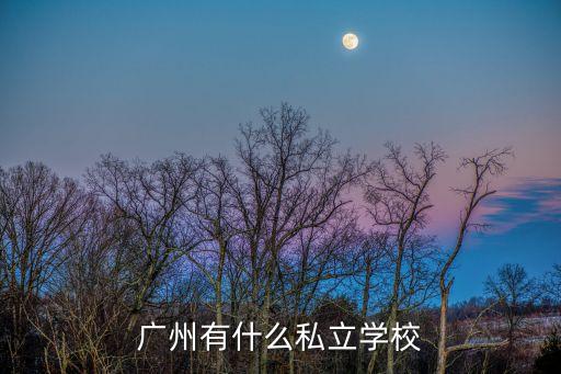 廣州公辦私立學校，廣州有什么私立學校