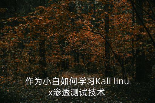 廣州市滲透測試入門，作為小白如何學習Kali linux滲透測試技術