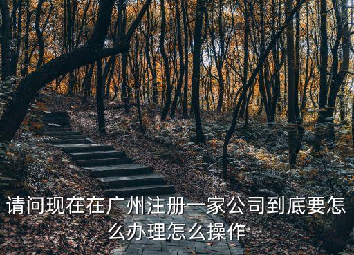 廣州營業執照辦理公司，請問現在在廣州注冊一家公司到底要怎么辦理怎么操作