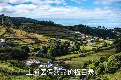 上海醫保藥品價格目錄