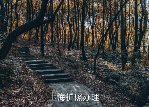 上海市辦理護照費用免費嗎，上海護照辦理