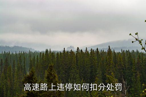 高速停車扣幾分，高速路上違停如何扣分處罰