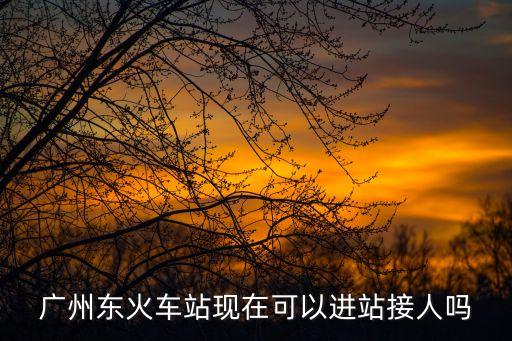 廣州東站可以進(jìn)站去接人嗎，廣州東火車站現(xiàn)在可以進(jìn)站接人嗎