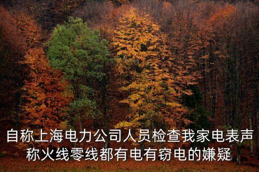 上海市電力局抄電表數據，供電公司電表是怎樣抄的呢