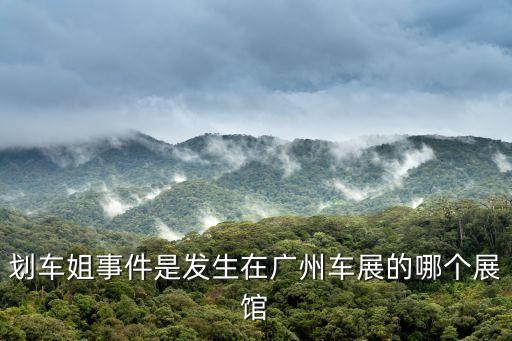 廣州車展epro品鑒會(huì)，2010廣州車展