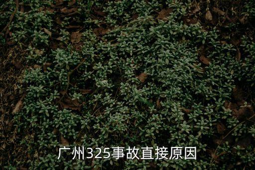 廣州325事故直接原因