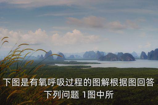 有氧呼吸過程圖解，有氧呼吸的全過程圖示