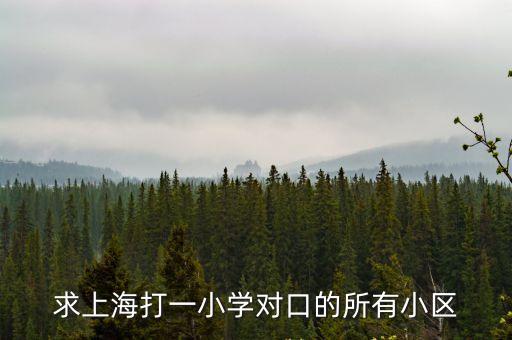 上海市鞍山八村，上海鞍山八村位于哪個區