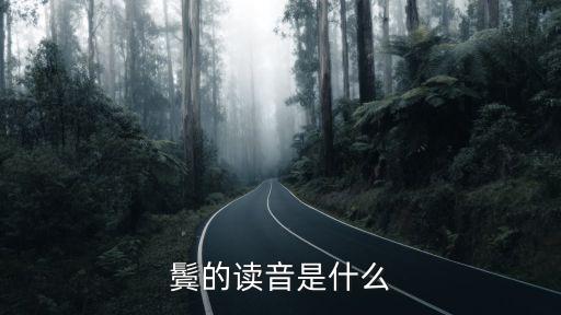 鬢發讀音，鬢的讀音是什么