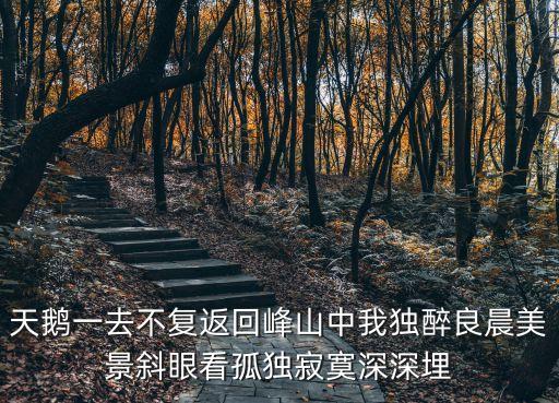 天鵝一去不復返回峰山中我獨醉良晨美景斜眼看孤獨寂寞深深埋
