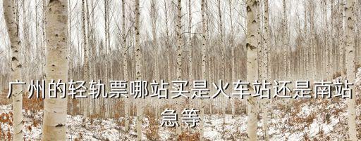廣州的輕軌票哪站買是火車站還是南站急等
