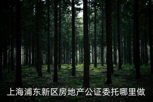 上海市房地產(chǎn)委托公證，上海浦東新區(qū)房地產(chǎn)公證委托哪里做