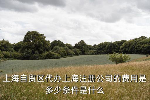 上海市企業代辦管理辦法，請問有誰知道上海代辦工商注冊 嗎介紹下啦