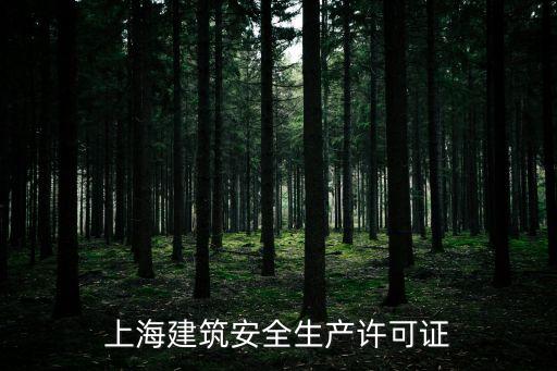 上海建筑安全生產(chǎn)許可證