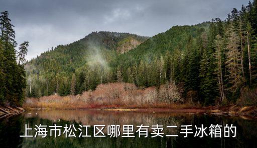 上海市松江區哪里有賣二手冰箱的