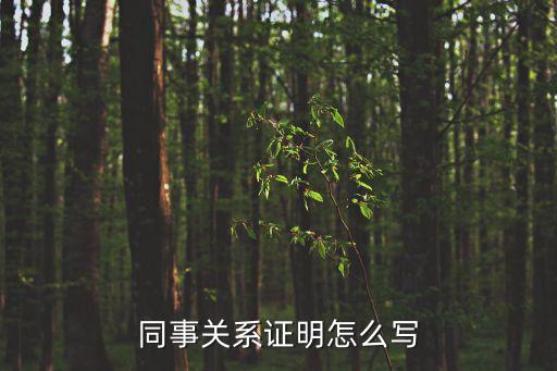 公司關系證明，同事關系證明怎么寫