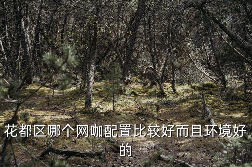 廣州花都網(wǎng)吧哪家最好，花都區(qū)哪個(gè)網(wǎng)咖配置比較好而且環(huán)境好的