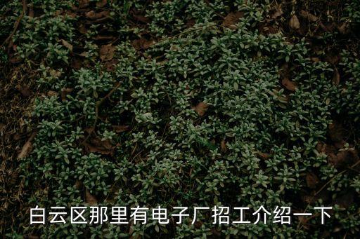 白云區那里有電子廠招工介紹一下