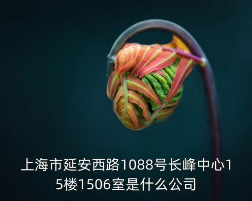 上海市凡斯帕，上海市延安西路1088號長峰中心15樓1506室是什么公司