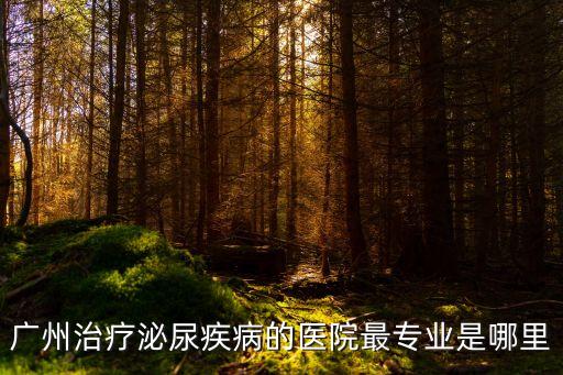廣州治療泌尿疾病的醫院最專業是哪里