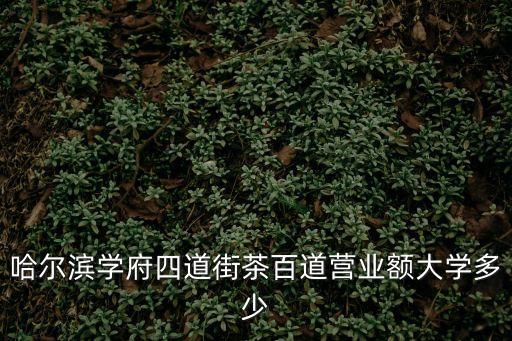 哈爾濱學府四道街茶百道營業(yè)額大學多少