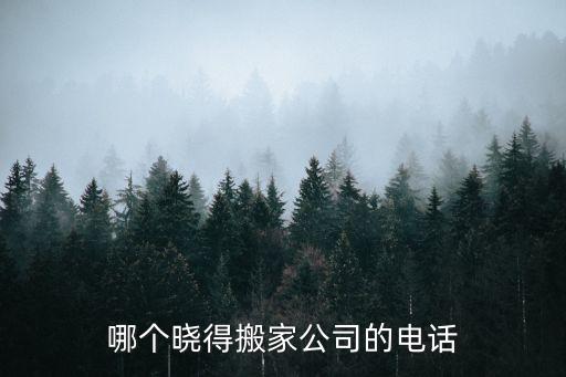 哪個曉得搬家公司的電話