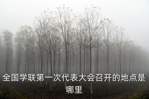 全國學(xué)聯(lián)第一次代表大會召開的地點是哪里